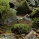 2025년 신관사또 부임행차 이미지