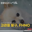 문산 동물병원 이미지