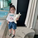 파인즈 이미지