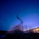 용의꼬리 이미지