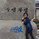 선도수선화 이미지