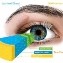큰빛안과의원 이미지