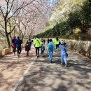 봉연관 가포도장 이미지