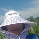 재순농장 이미지