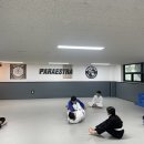 주짓수제트