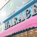 헤레이스(HARACE)