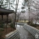 왕인박사유적지 주차장 티스토리