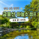 양평 계곡 캠핑장 금물산 하늘소 캠프 오토 B1 1박 후기