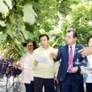 금화농원 이미지