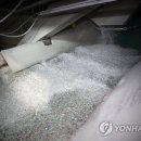 씨케이닭