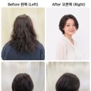 샴푸보이헤어샵