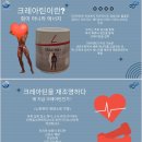 독일피엠 킥오프 & 신제품 크레아틴 공개 송도컨벤시아 현장 후기