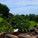 생각하는 정원 이미지