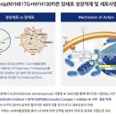 (주) 엘리시움파트너스