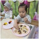 동구청어린이집 이미지