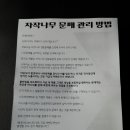 오마이써니