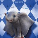 덤보 이미지