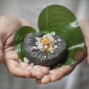 바와스파 이미지