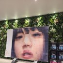 아이묭 돌고래아파트 콘서트 후기