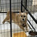 한아름 쉼터 이미지