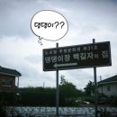 충남댁