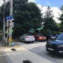 위드 송 이미지