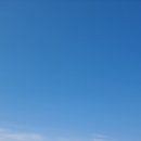 미애홈쇼핑 이미지