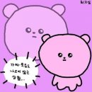 에스더견과류