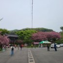 태봉리농산물