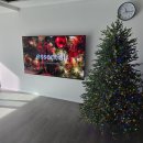 초콜렛트리 이미지