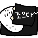 해초과메기