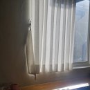 남구-116 | 울산남구애견동반카페 수암동 야음동 카페다원 내돈내산