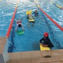 동신파이디온 이미지