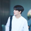제노 이미지