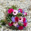 The Heaven 이미지