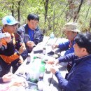 숲속의 하루 이미지