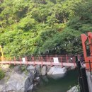 국골민박 이미지