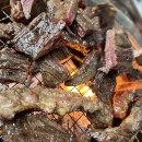 불타는안창살 이미지