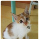 (주)만송 이미지