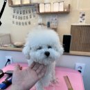 올데이 그루밍 이미지