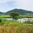 대가연꽃테마공원 이미지