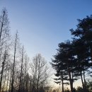 경기옛길 삼남길 5,6,7 코스 걷고왔어요 (화서역~독산성)