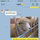 친구양꼬치 이미지