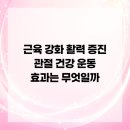 관절 근육 강화 운동 | 근육 강화 활력 증진 관절 건강 운동 효과는 무엇일까