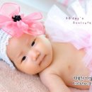 사파동127 이미지