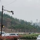 스테이골드(staygold) 이미지