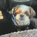 멕시카나치킨 광천점 이미지