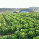 만호농장 이미지