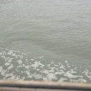 인사이언스 Daum카페