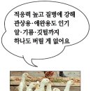 보감식품 이미지